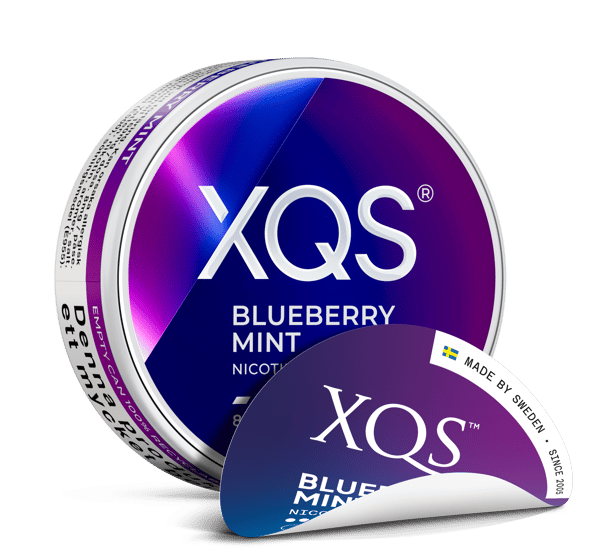 XQS Blueberry Mint 8 mg 10-pack