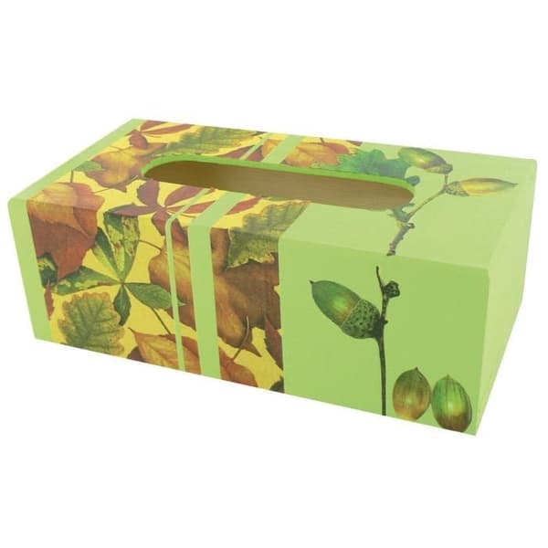 CTOP Tissue Box 28*14*7 cm