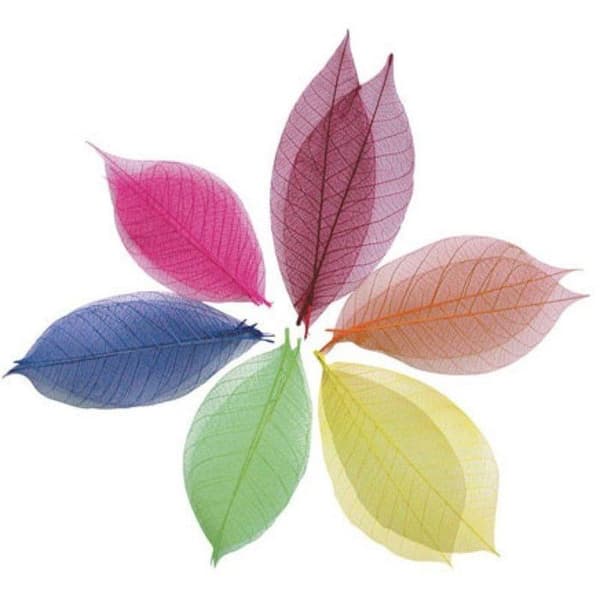 Graine Créative - Ark 8 cm 20 stycken - Röd