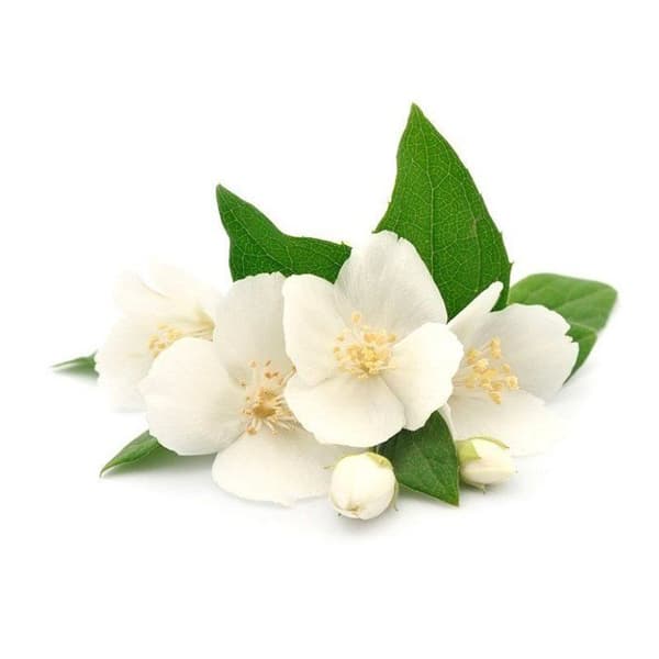 Graine Créative - Doftljus 27 ml Jasmin