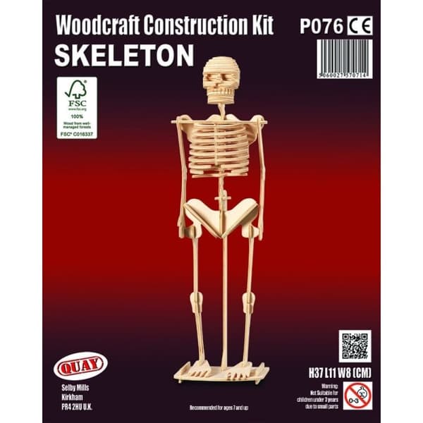 Kaj - Trämodell Skelett