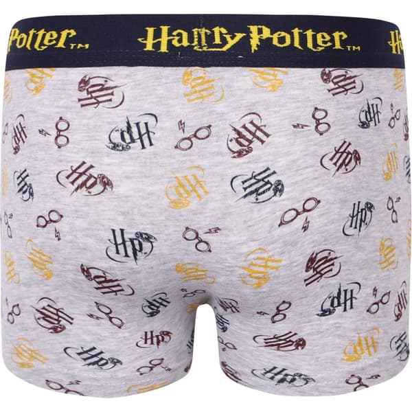 2-pack Boxerkalsonger Harry Potter 98/104