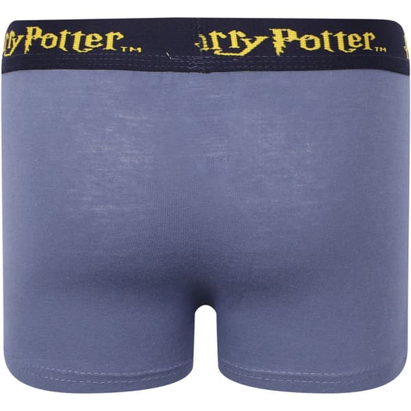 2-pack Boxerkalsonger Harry Potter 98/104