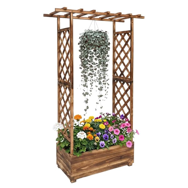 Planter med espalier og baldakin i træ, Kodustaar