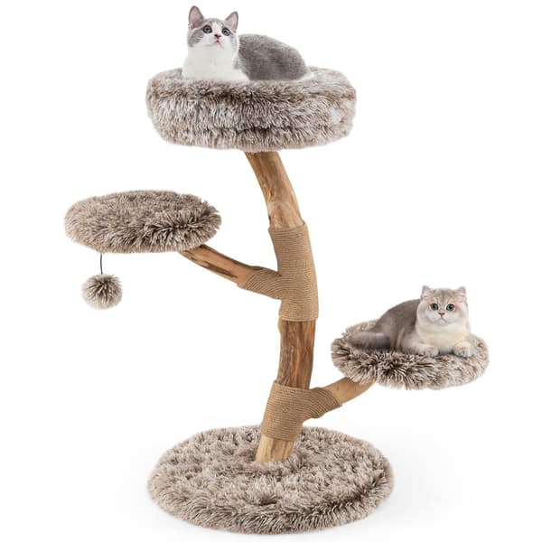 Katte træ, 52x92 cm, Grå, Star