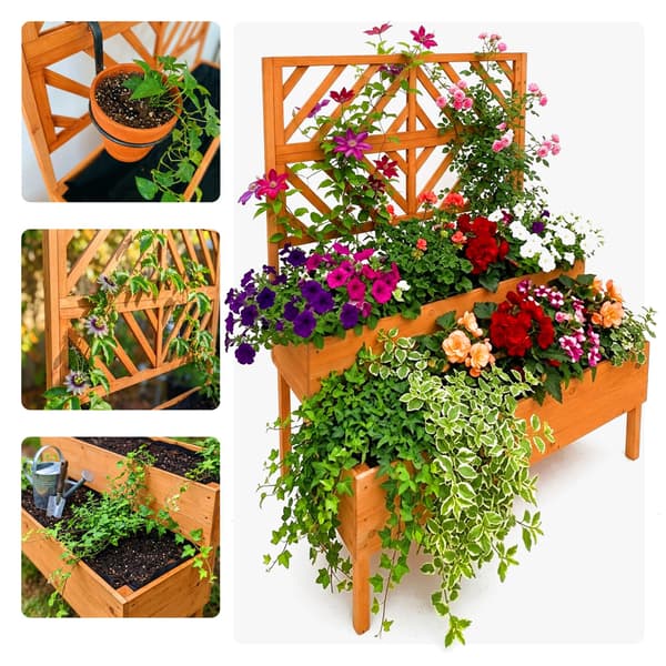 Planter med espalier i træ, Kodustaar