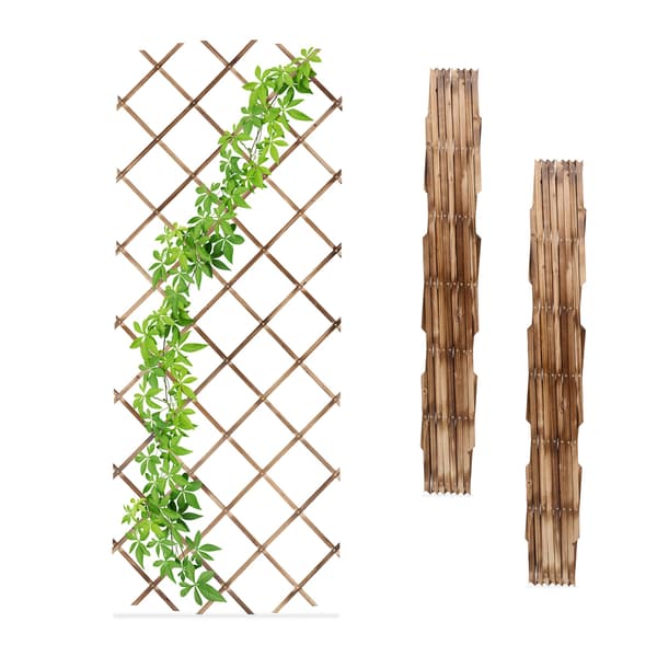 Trellis Set 180x90 cm trä, Kodustaar