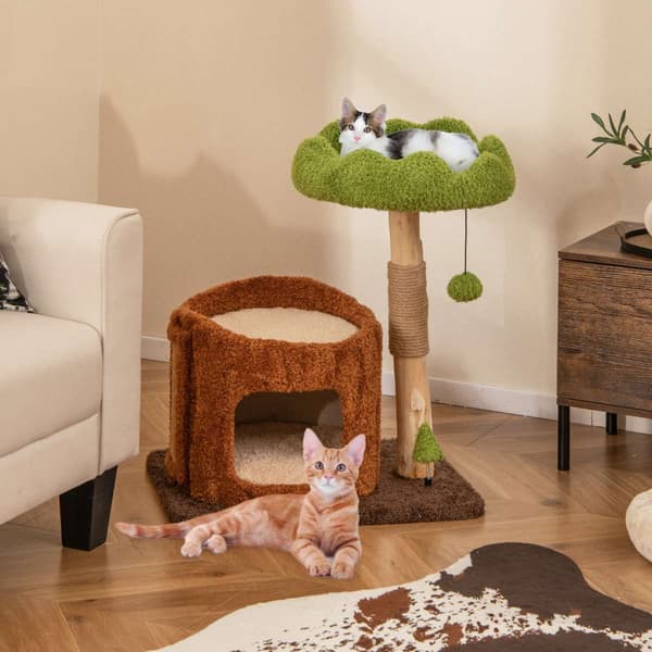 Katte træ, 60x46x75 cm, Brun , Star