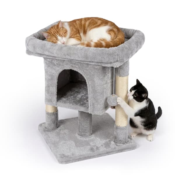 Kattträd med koja och utkiksplattform, Kodustaar