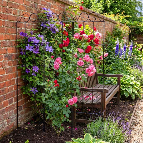 Trellis sæt 116x30x0,5 cm sort stål, Kodustaar