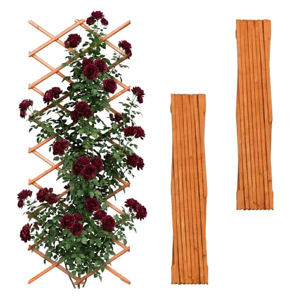 Trellis Set 3 delar Förlängningsbart Trä, Kodustaar