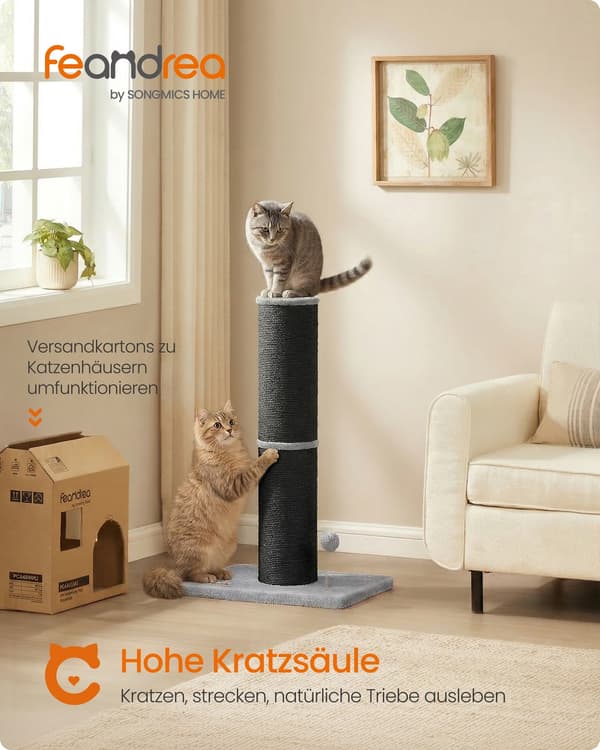 Kattetræ 50x40x85 cm Sort Sisal