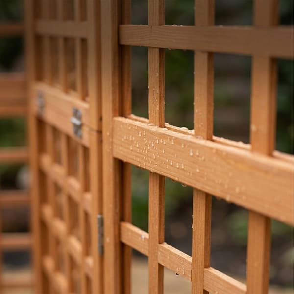 Træ espalier skærm, Kodustaar