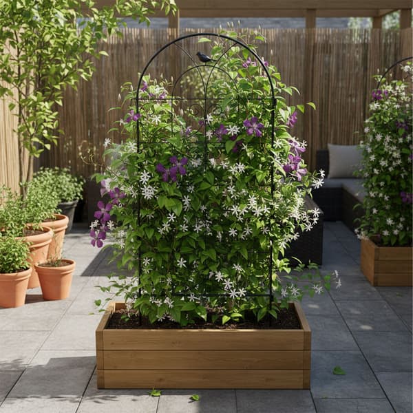 Trellis Set Stål Svart, Kodustaar