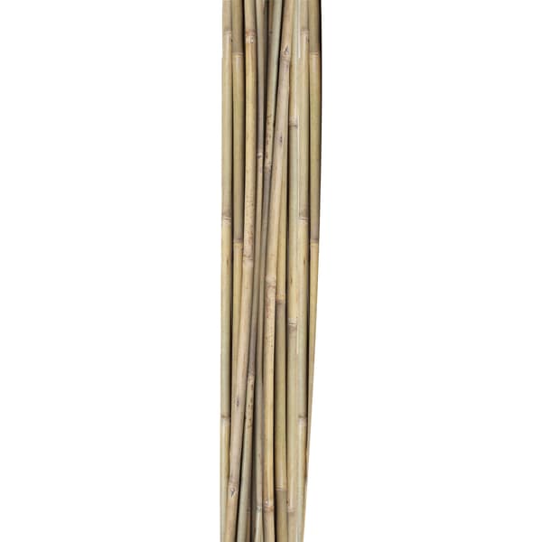 Planteunderstøttelse pinde 150x1-1,2 cm bambus