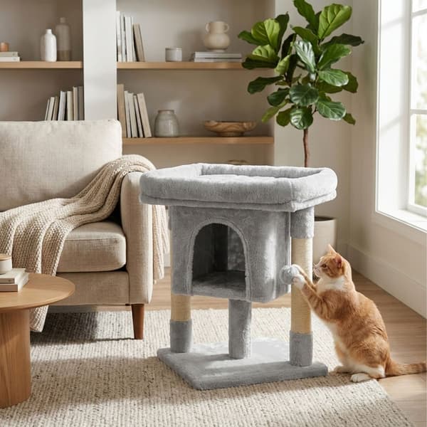 Kattträd med koja och utkiksplattform, Kodustaar