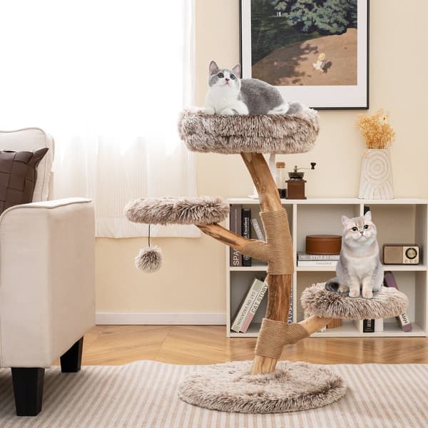 Katte træ, 52x92 cm, Grå, Star