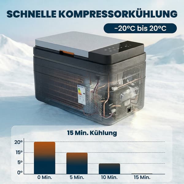 Kompressor Køleboks 62,3x37,8x37 cm Sort ABS