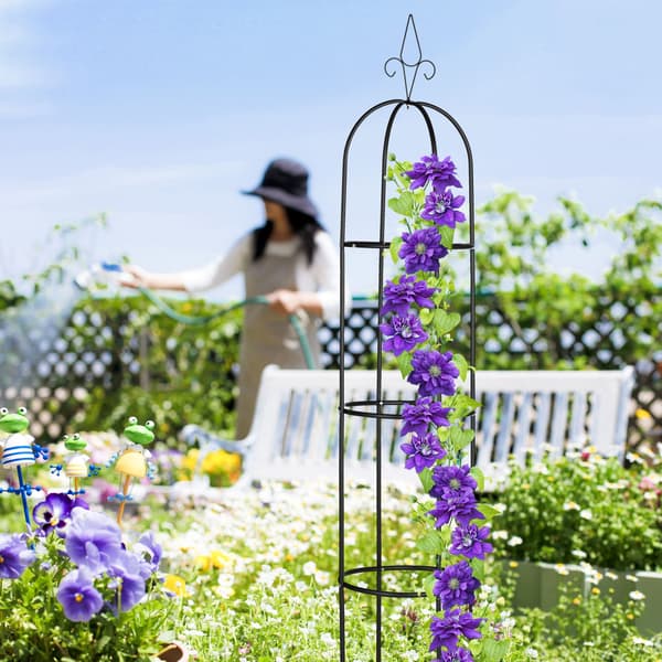 Trädgårdsobelisk set, 200x41 cm, Svart, Stål, Kodustaar