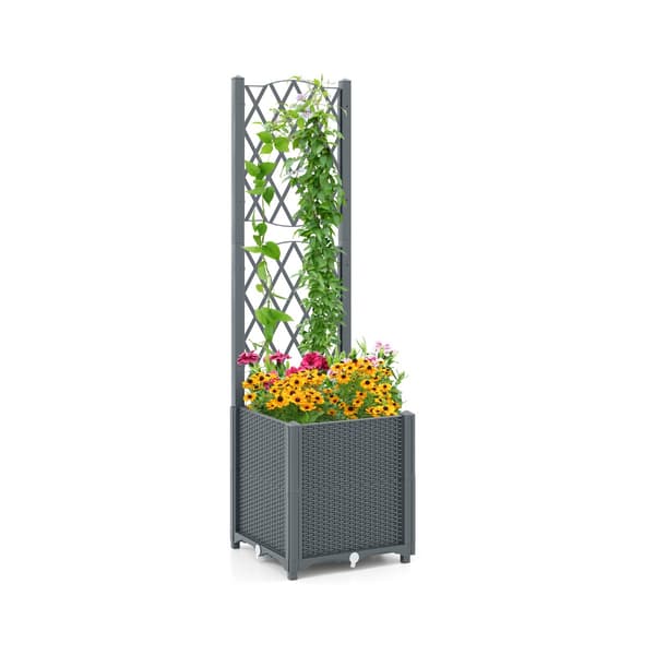 Planter med Espalier, 40x40x140 cm, Kaffe , Star