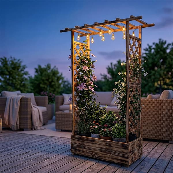 Planter med spaljé och baldakin i trä, Kodustaar
