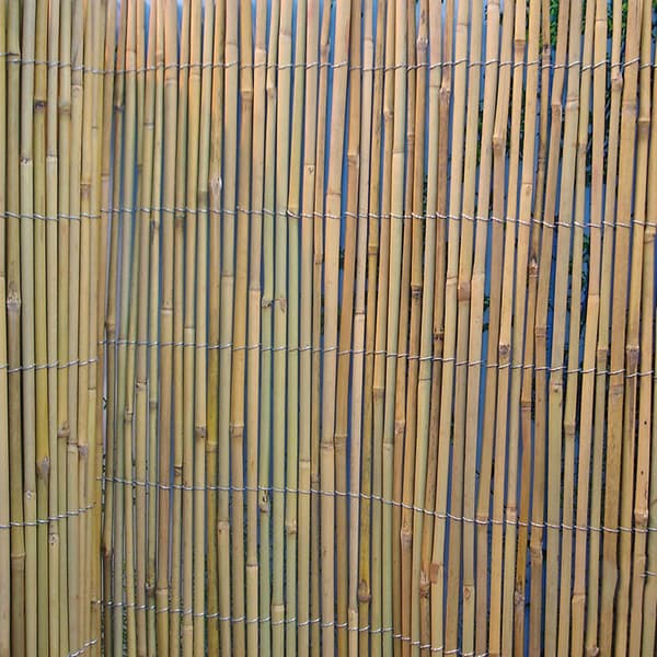 Bambushegn 200x500 cm Bambus