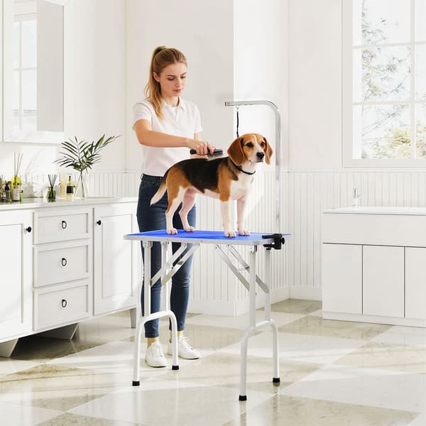 Hundefrisørbord 81x48,5x80 cm blå