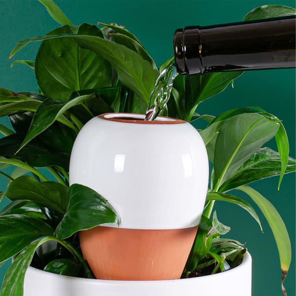 Lerkon med lock, 350 ml set, Kodustaar