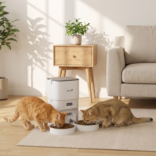 Automatisk kattefodrer med timer 2 rustfri stålfade 33x30,5x30 cm hvid