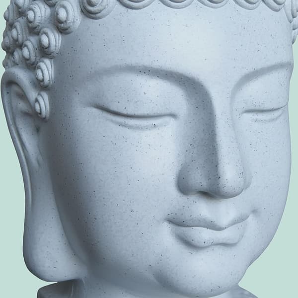 Buddha Hoved Statue 70 cm, Kodustaar