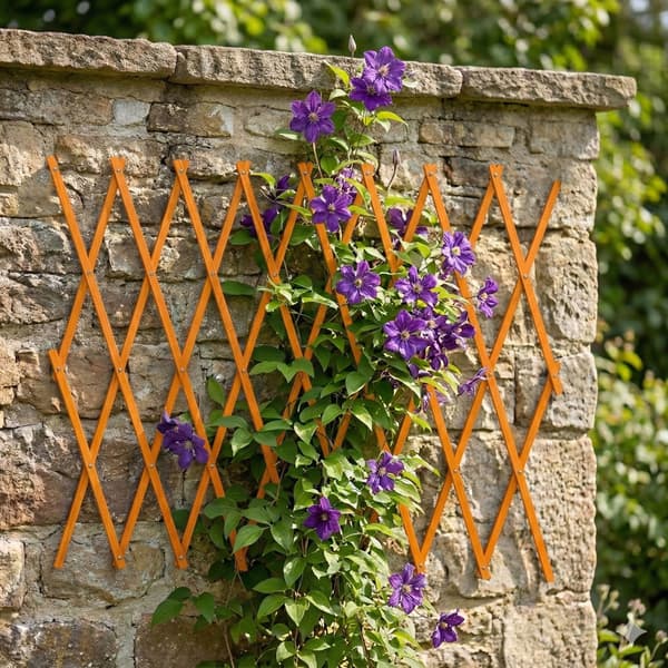Trellis Set 3 delar Förlängningsbart Trä, Kodustaar