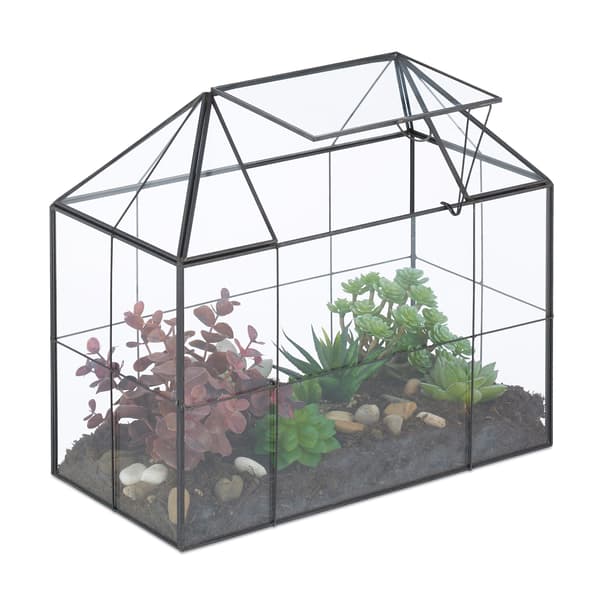 Glasterrarium Husform Stor, Kodustaar