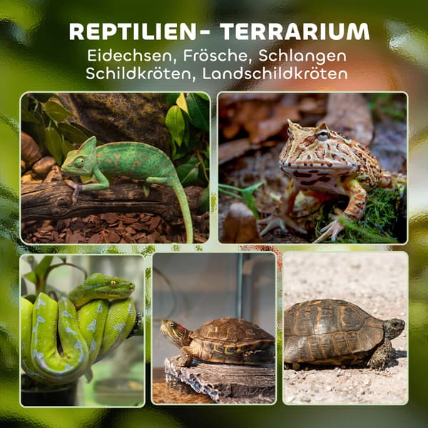 Glas Terrarium 30x30x30 cm Sort, vandtæt