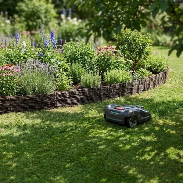 Havekant Pil til blomsterbede, Kodustaar