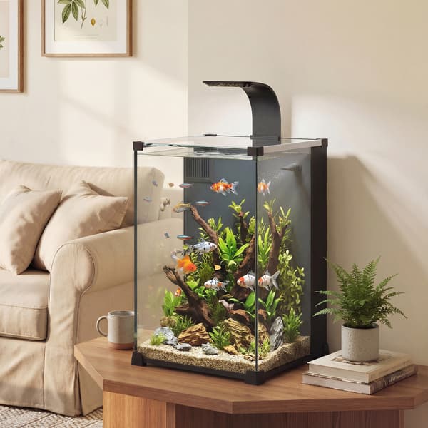Akvarium Komplet Sæt 30x30x45,5 cm Sort Glas