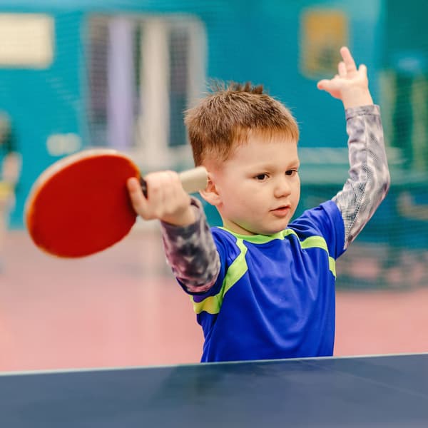 Bordtennisbord, 67,5x151x67,5 cm, Fällbart, Kodustaar