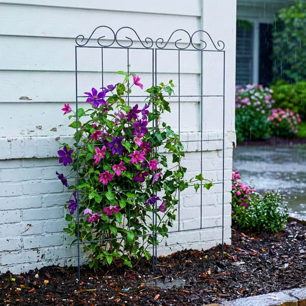Trellis sæt 116x30x0,5 cm sort stål, Kodustaar