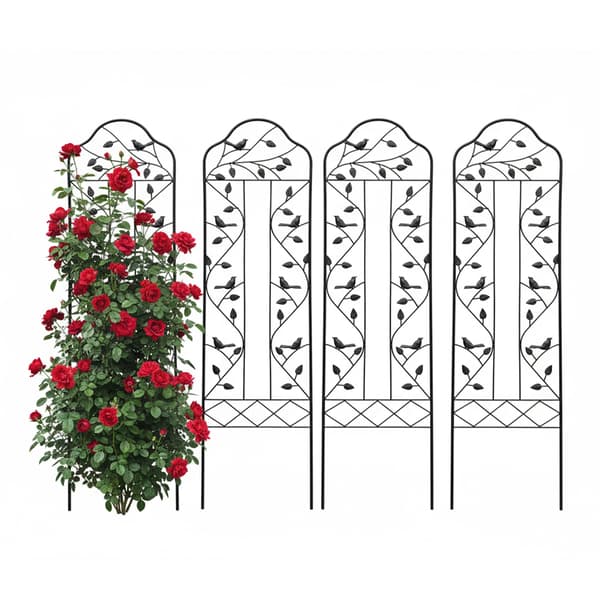 Trellis stål svart, Kodustaar