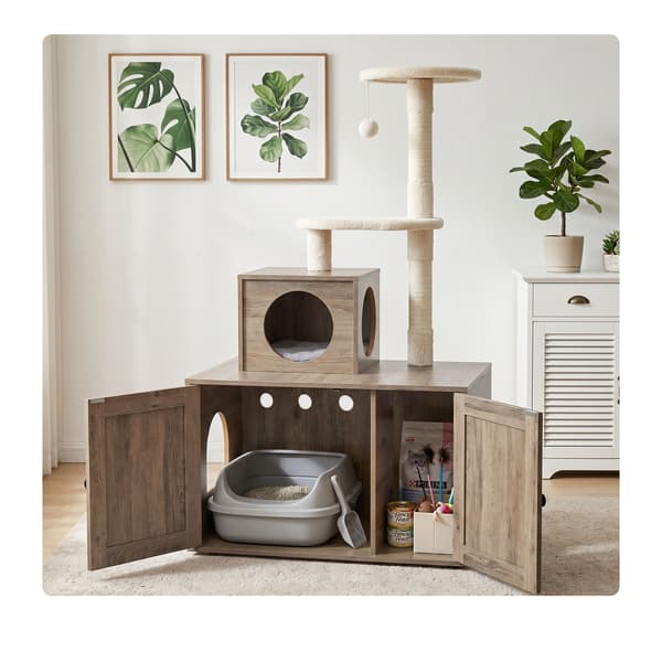 Kattetræ med kattebakke, Kodustaar