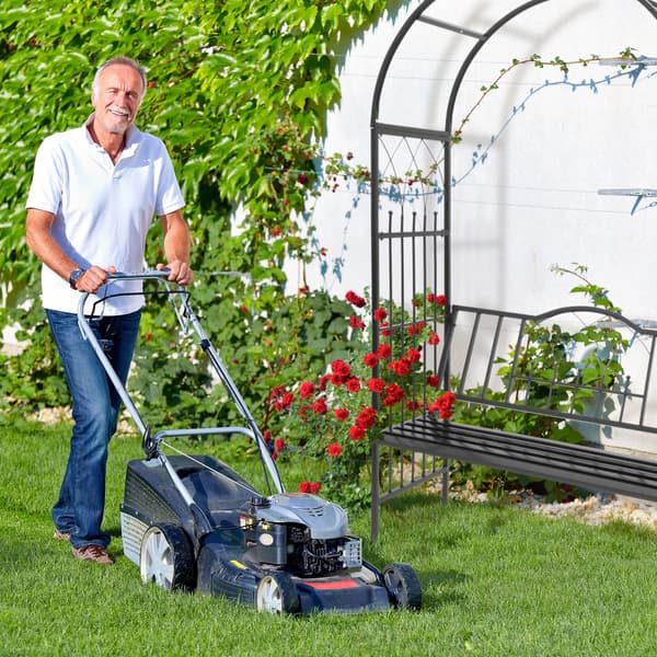Rosenbue med bænk, jern, Kodustaar