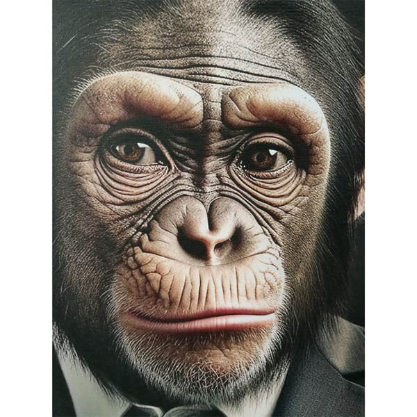 Väggdekoration Mr. Monkey 50x70x3 cm