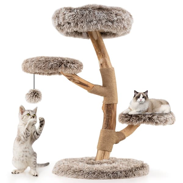 Katte træ, 52x92 cm, Grå, Star