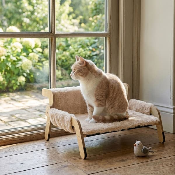 Upphöjd mjuk kattbädd, Kodustaar