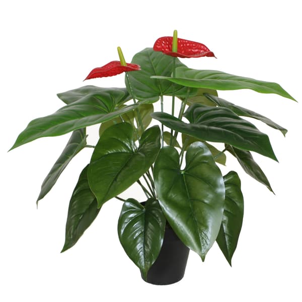 Tekokasvi 45 cm Punainen Musta