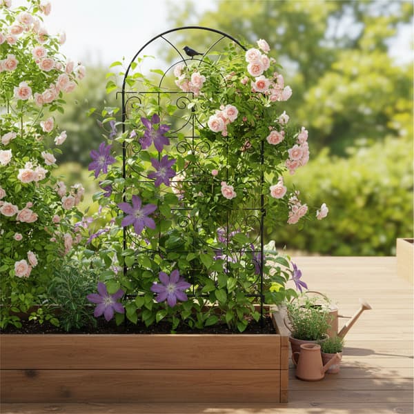 Trellis Set Stål Svart, Kodustaar