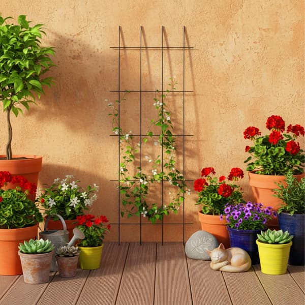 Trellis Set Metall, Kodustaar