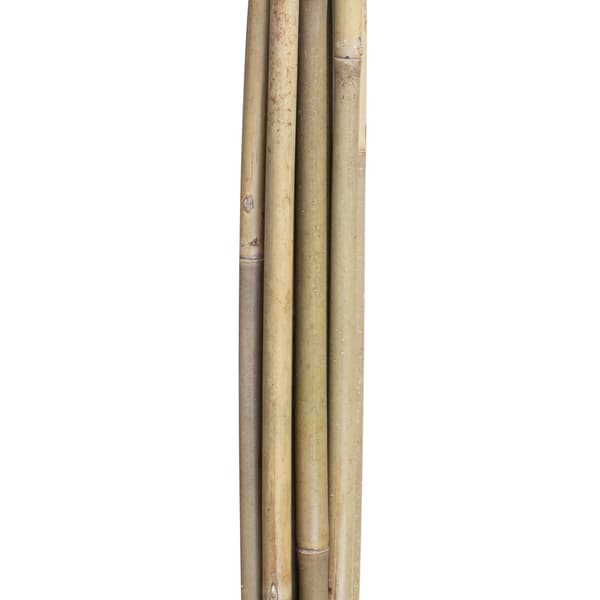 Planteunderstøttelse pinde 150x1-1,2 cm bambus