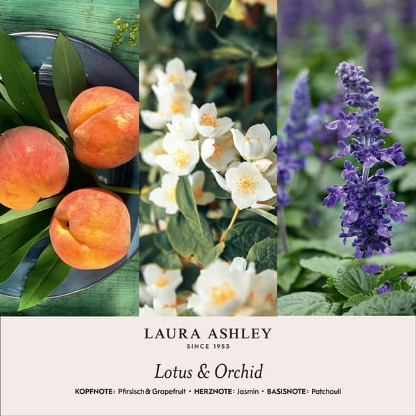 Duftende blomsterdiffuser, Laura Ashley, 9x11x16 cm, Rød, Kodustaar