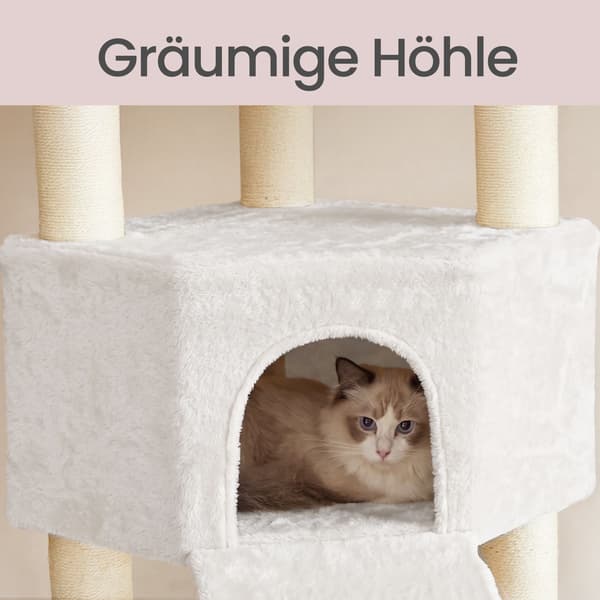 Kattetræ, Multi-niveau, Tykkesisalpæle
