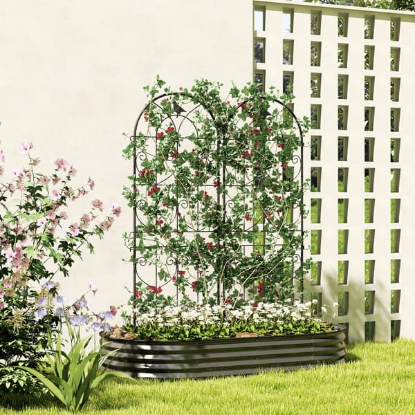 Espalier til klatreplanter 50x150 cm sort metal